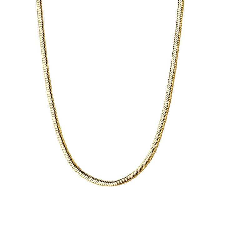 Snake Chain Necklace - Gold Filled