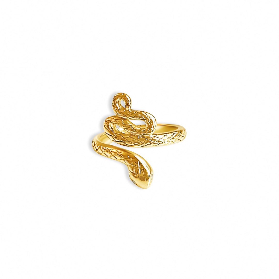 Everlasting Energy Snake Ring - Gold Vermeil